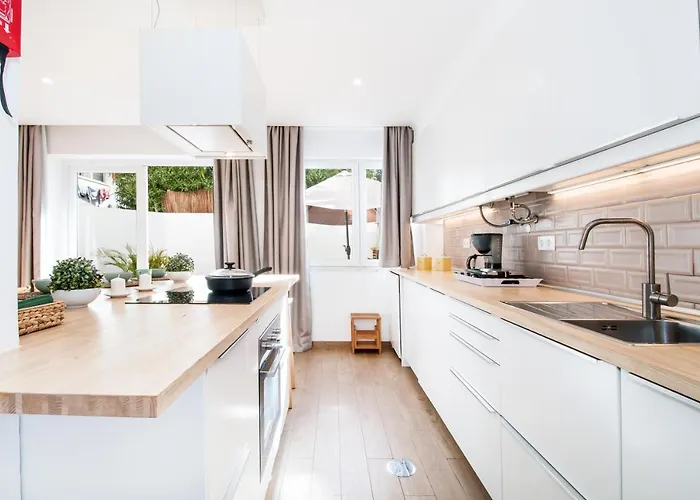 Bambu 阿尔布费拉